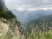 02 68470608 2353 447E 9144 8A6E9717E759 1 105 C