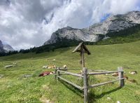 07 0A1AF5AC 0CBA 49C7 8DA9 76AE2C70B761 1 105 C