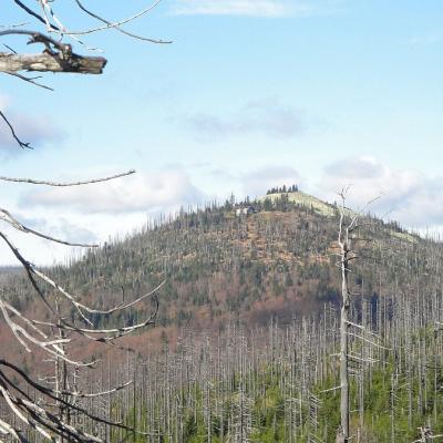 11 Lusen 20221215 1158414897