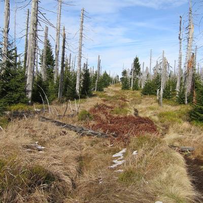 18 Spitzberg 20221215 1721595423