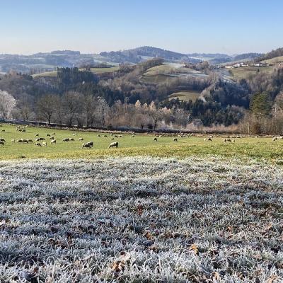 20 Ueber Dem Ilztal 0002 20221215 1971132270