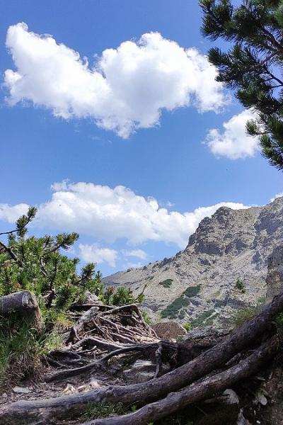 15 Ammergeb050 20221215 1351324541