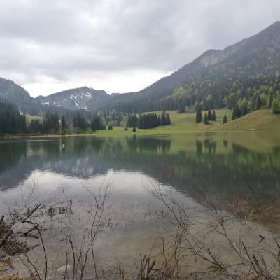 Spitzingsee 20221215 1624531551