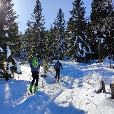 06 Arber 119 20221215 1772500374