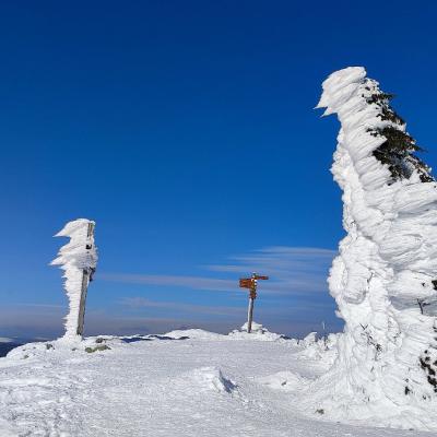 05 Lusenkreuz 080 20221219 1219862688