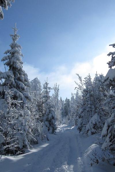 07 Hochstein 02 20221215 1587590929