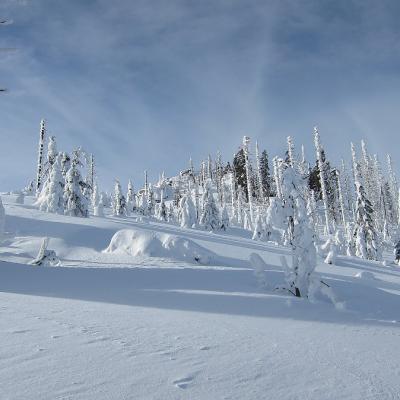 08 Hochstein 0017 20221215 1223015162