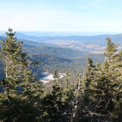 10 Kleiner Arbersee 0027 20221215 2087034509