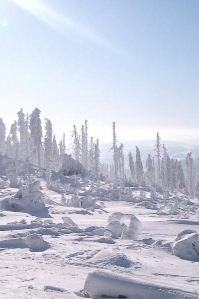 12 Am Hochkamm 20221215 1434625727