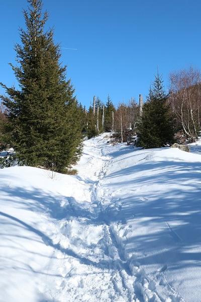 14 Siebensteinkopf 0009 20221215 1228842127