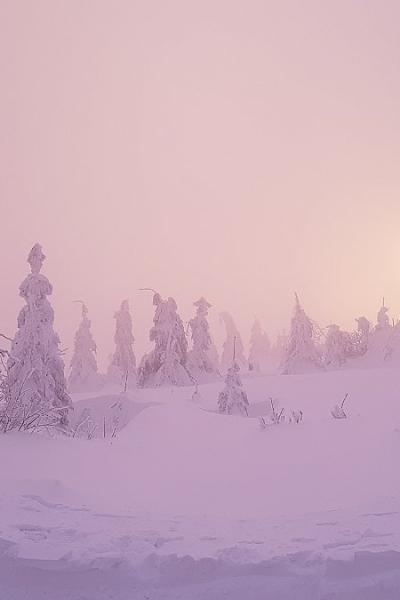 21 Winteridyll Am Dreisesselberg 20220205 165555 002 20221215 2050689641